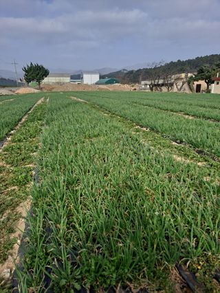 이현득님의 자유주제 · 자유게시판 작성글 사진