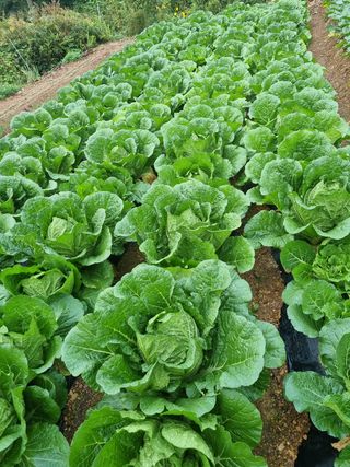 곽순영 님의 자유주제 · 자유게시판 작성글 사진