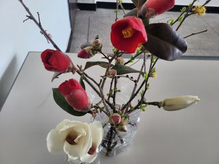 쌍둥이네빠끔살이님의 자유주제 · 사진전 작성글 사진