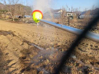 쌍둥이네빠끔살이님의 자유주제 · 사진전 작성글 사진