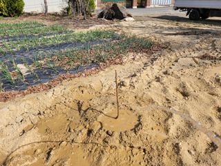 쌍둥이네빠끔살이님의 자유주제 · 사진전 작성글 사진