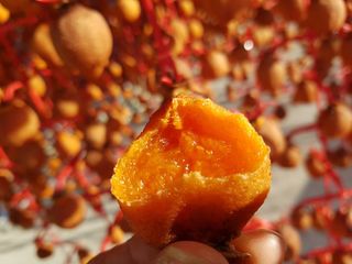 쌍둥이네빠끔살이님의 자유주제 · 사진전 작성글 사진