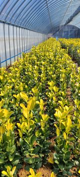 팜모닝 자유주제·사진전 게시글 이미지