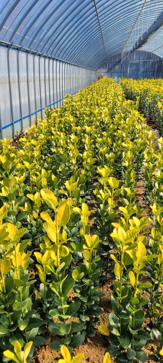 마로니에님의 자유주제 · 사진전 작성글 사진