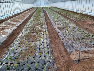 마로니에님의 자유주제 · 사진전 작성글 사진