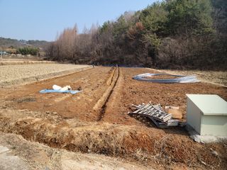 마로니에님의 자유주제 · 사진전 작성글 사진