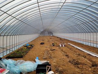 마로니에님의 자유주제 · 사진전 작성글 사진