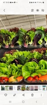 팜모닝 자유주제·사진전 게시글 이미지