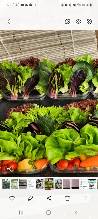 김정임님의 자유주제 · 사진전 작성글 사진