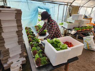 김정임님의 자유주제 · 사진전 작성글 사진