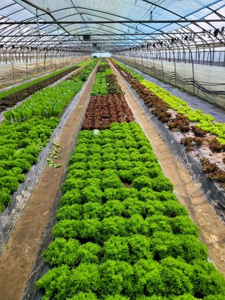 김정임님의 자유주제 · 사진전 작성글 사진