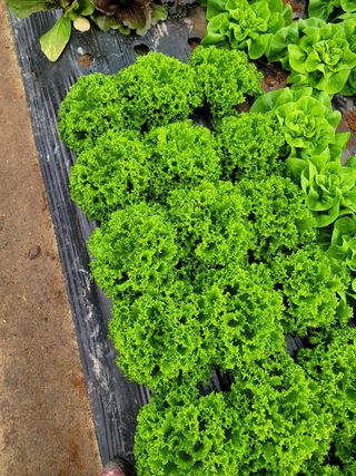 김정임님의 자유주제 · 사진전 작성글 사진