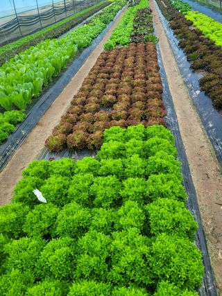 김정임님의 자유주제 · 사진전 작성글 사진