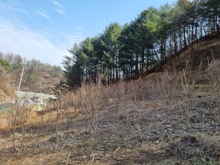 박형근님의 자유주제 · 자유게시판 작성글 사진