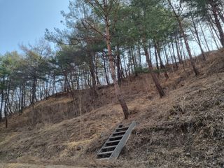 박형근님의 자유주제 · 자유게시판 작성글 사진