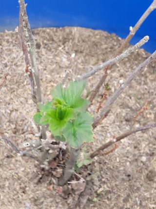 박헌님의 자유주제 · 사진전 작성글 사진