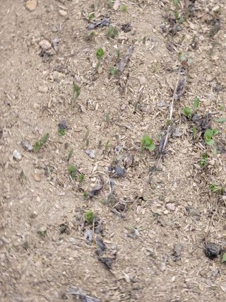 박헌님의 자유주제 · 사진전 작성글 사진