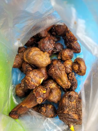 박헌님의 자유주제 · 사진전 작성글 사진