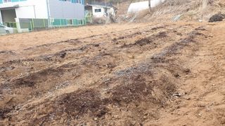 이덕재님의 감자 · 자유게시판 작성글 사진