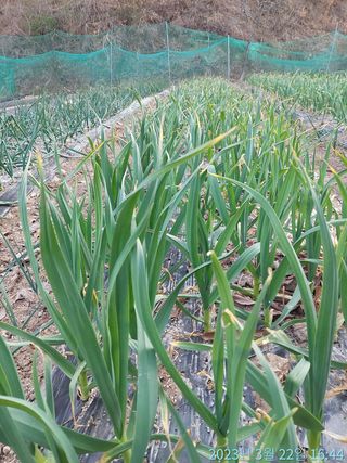 황대헌님의 자유주제 · 사진전 작성글 사진