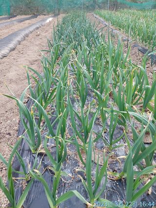 황대헌님의 자유주제 · 사진전 작성글 사진