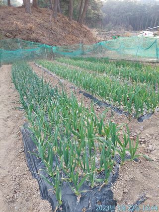 황대헌님의 자유주제 · 사진전 작성글 사진