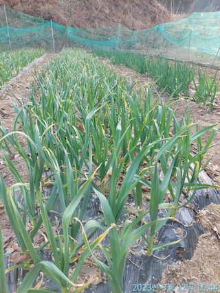 황대헌님의 자유주제 · 사진전 작성글 사진