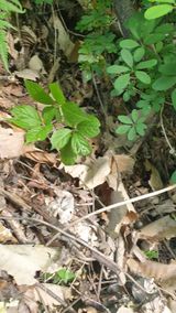 팜모닝 장터이야기·자유게시판 게시글 이미지