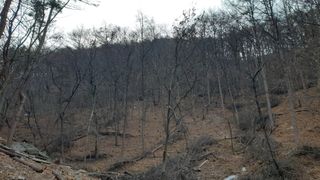 조영석님의 장터이야기 · 자유게시판 작성글 사진