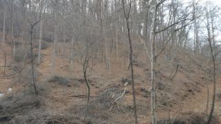 조영석님의 장터이야기 · 자유게시판 작성글 사진