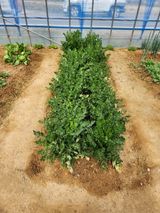 팜모닝 자유주제·사진전 게시글 이미지