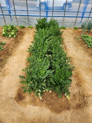 까비꼬님의 자유주제 · 사진전 작성글 사진