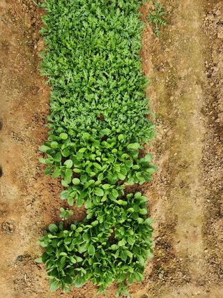 까비꼬님의 자유주제 · 사진전 작성글 사진