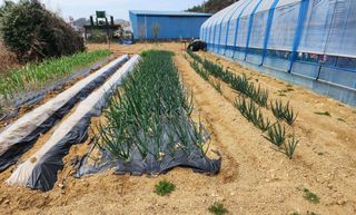 까비꼬님의 자유주제 · 사진전 작성글 사진