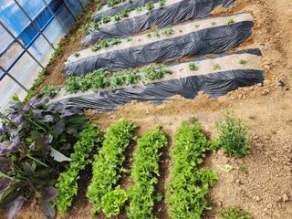 까비꼬님의 자유주제 · 사진전 작성글 사진