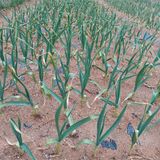 팜모닝 자유주제·사진전 게시글 이미지