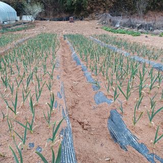 곡촌농원님의 자유주제 · 사진전 작성글 사진