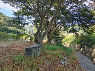 시금치15102님의 자유주제 · 사진전 작성글 사진