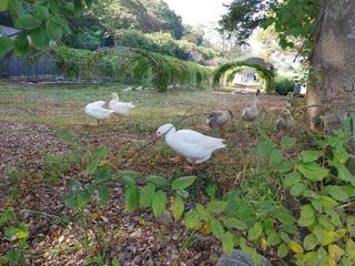 시금치15102님의 자유주제 · 사진전 작성글 사진
