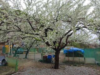 시금치15102님의 자유주제 · 사진전 작성글 사진