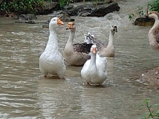 시금치15102님의 자유주제 · 사진전 작성글 사진