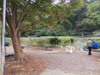 시금치15102님의 자유주제 · 사진전 작성글 사진