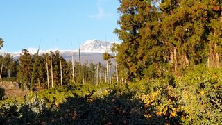 원태현님의 자유주제 · 사진전 작성글 사진