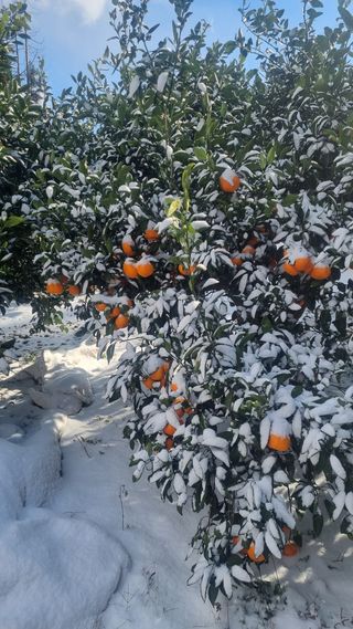 원태현님의 자유주제 · 사진전 작성글 사진