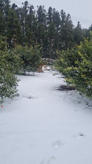 원태현님의 자유주제 · 사진전 작성글 사진