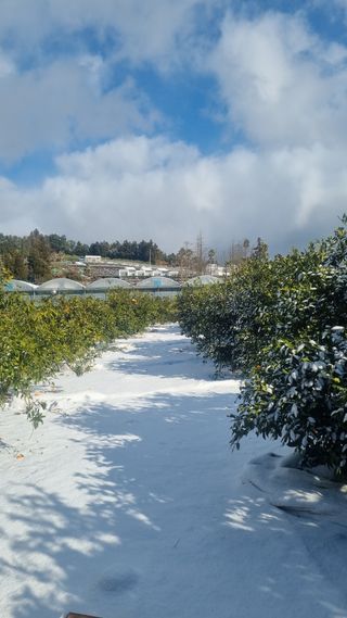 원태현님의 자유주제 · 사진전 작성글 사진