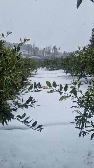 원태현님의 자유주제 · 사진전 작성글 사진