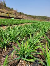 팜모닝 자유주제·사진전 게시글 이미지