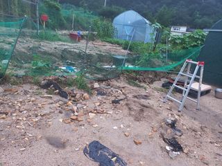 김도강님의 자유주제 · 자유게시판 작성글 사진