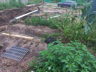 김도강님의 자유주제 · 자유게시판 작성글 사진